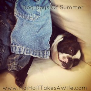 DogDaysOfSummer.jpg