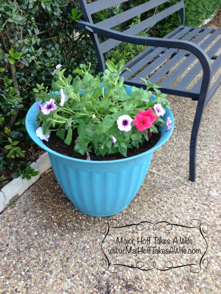 Planter after pretty flowers bench