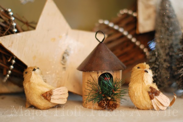 Christmas Birds with house and pinecones