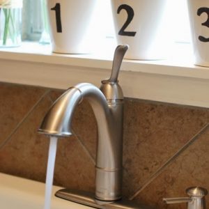 This weeks wrap up and the Winner of the Moen Faucet Giveaway Walden Faucet with Spray stream