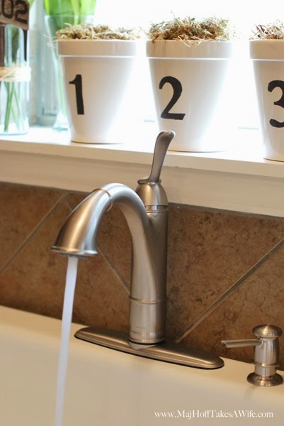 Walden Faucet with Spray stream