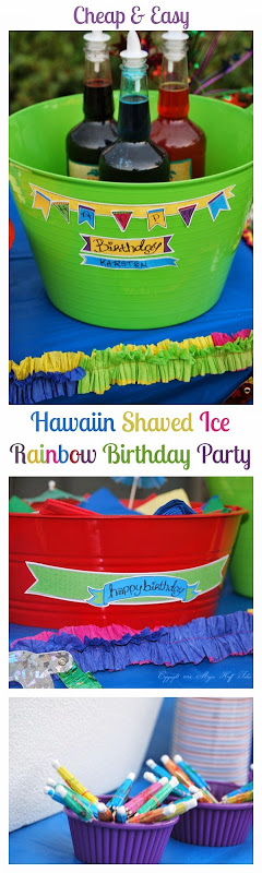 Hawaiin Shaved Ice Birthday Party with Free Printables