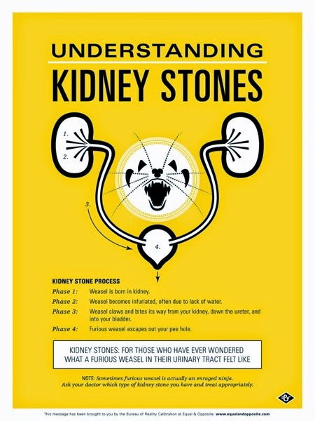 Grey Jay Kidney Stone Poster.jpg
