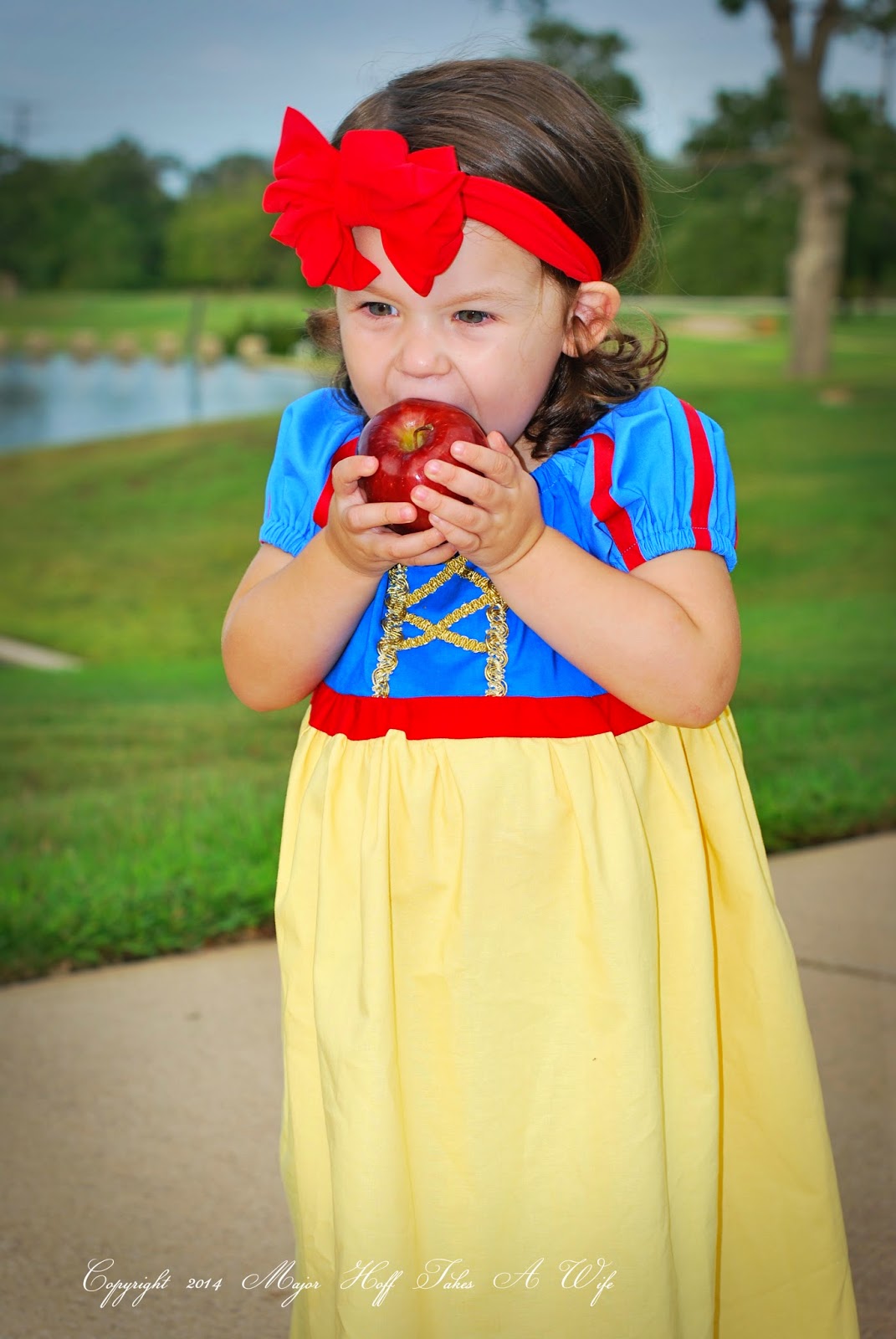 Easy To Sew Snow White Peasant Dress For Halloween or Dress Up - Major ...