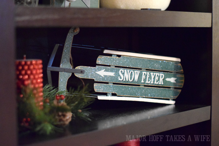 Snow Flyer on bookshelf