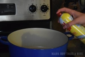 Spray Pan with non-stick spray
