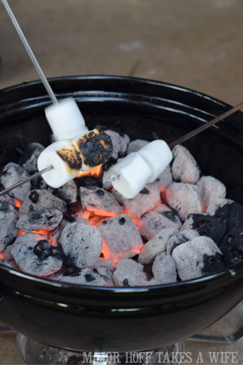 Charcoal grill for roasting marshmallows