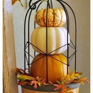 Fall Home Decor To Bring Autumn Into Any Room