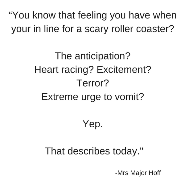 Roller Coaster Quote