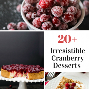20 Plus Recipes for the BEST Cranberry Cakes Pies Tarts and Other Desserts