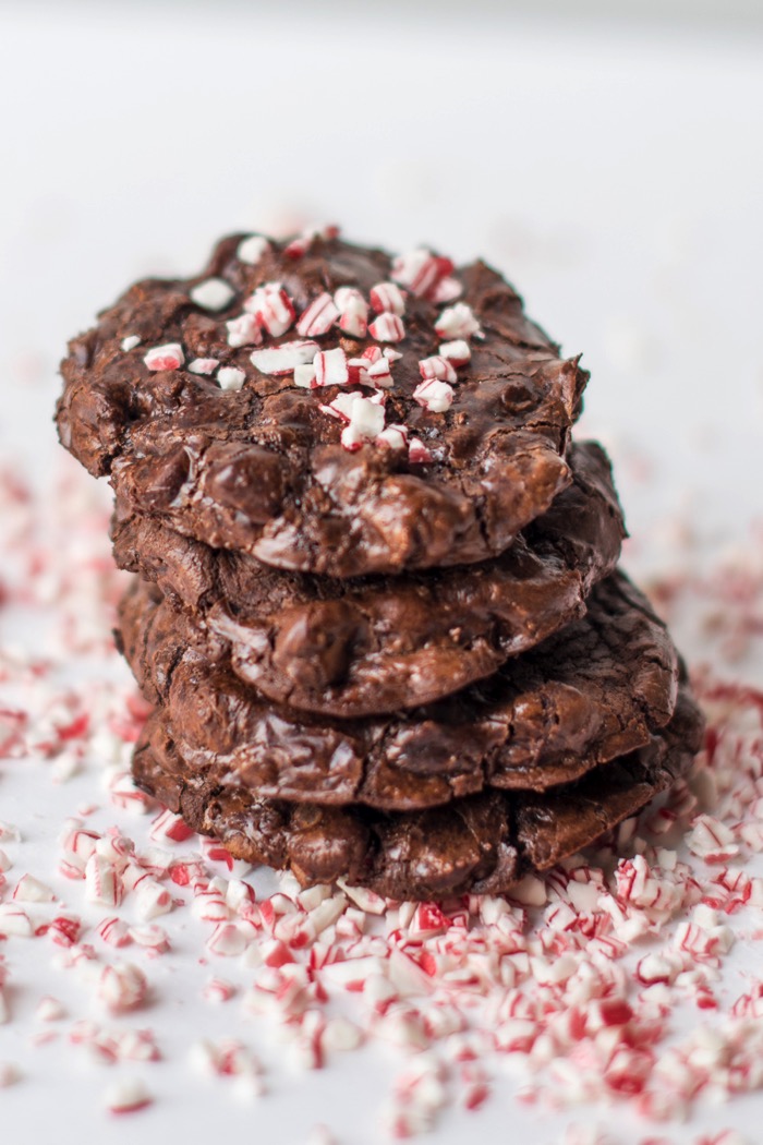 flourless chocolate cookies make perfect gluten free holiday cookies.