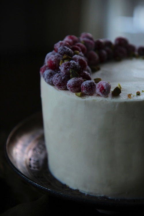 gingerbread cake with sugared cranberries