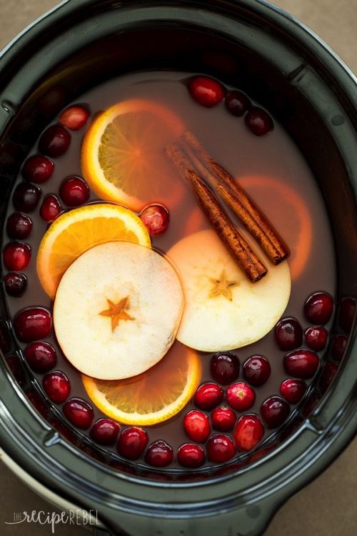 Slow Cooker Cranberry Apple Cider www thereciperebel com 