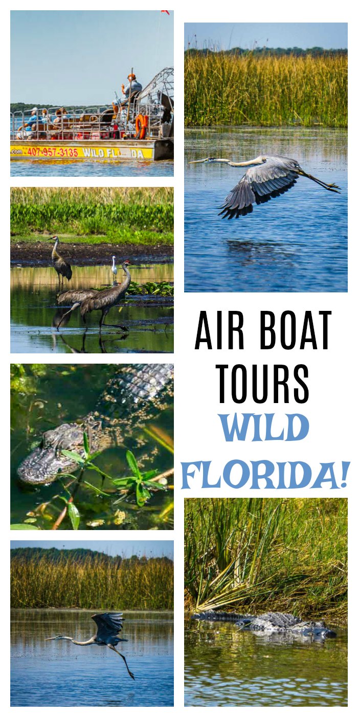 Wild Florida Air Boat Tours. Incredible air boat tour near Orlando, Florida. Bird watchers, alligator spotters and families are left in awe! Florida Travel | Florida Wildlife | Air Boat Tours
