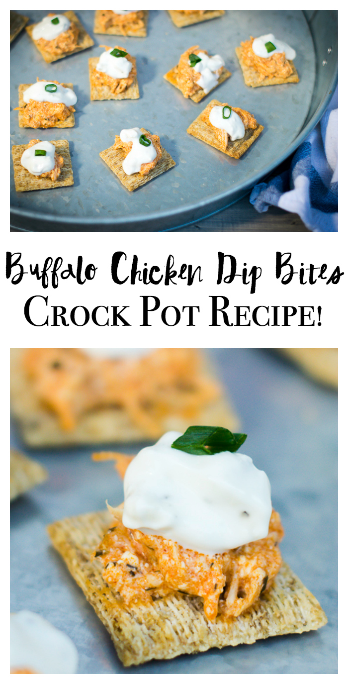 Game day appetizers never tasted so good!  Buffalo chicken dip crock pot bites feature a savory buffalo sauce, shredded chicken topped with a homemade blue cheese dressing! 
