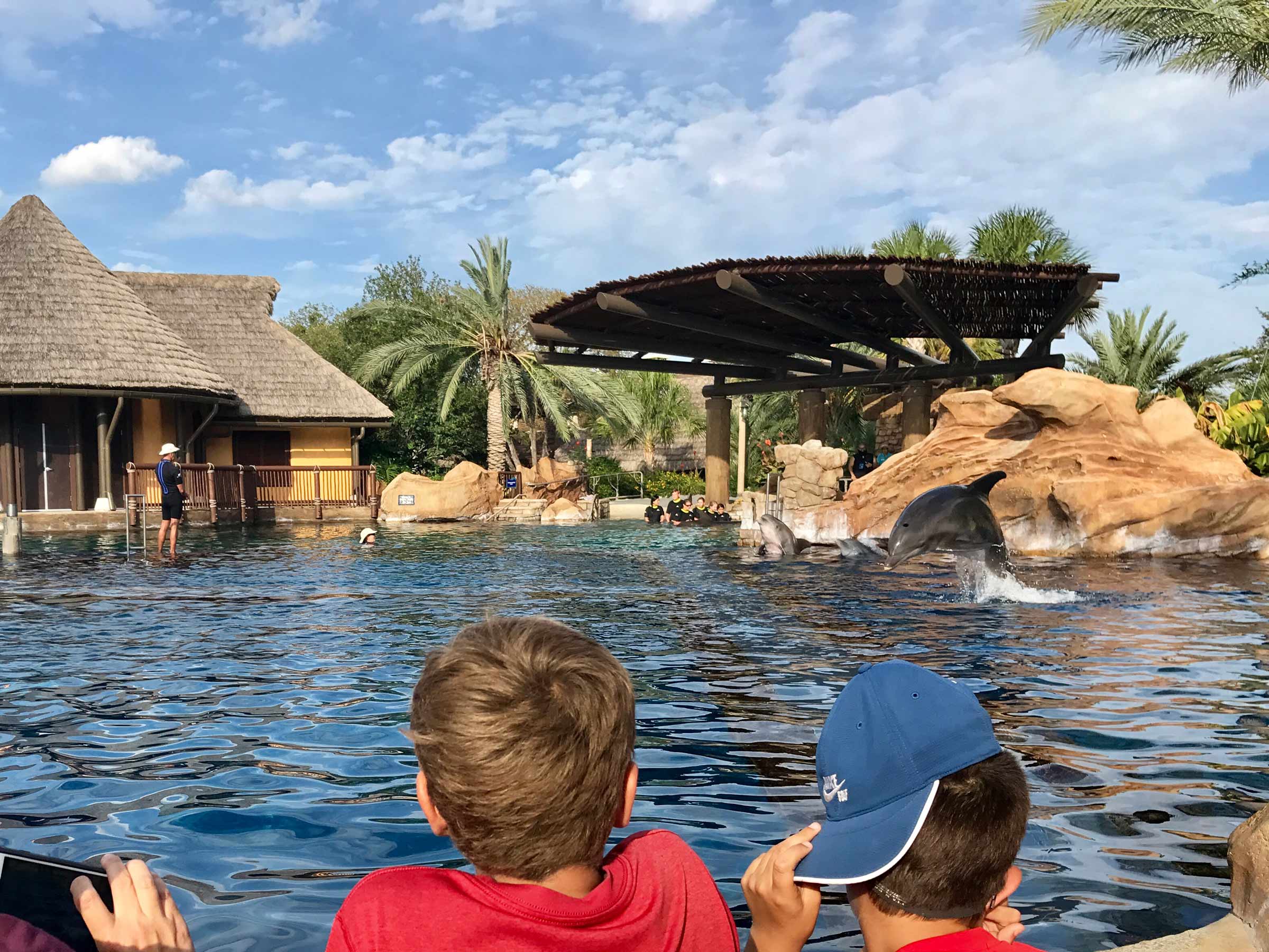 SeaWorld San Antonio Then And Now Major Hoff Takes A Wife SeaWorld San Antonio Then And Now Major Hoff Takes A Wife