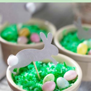 Pinterest Hidden Image
