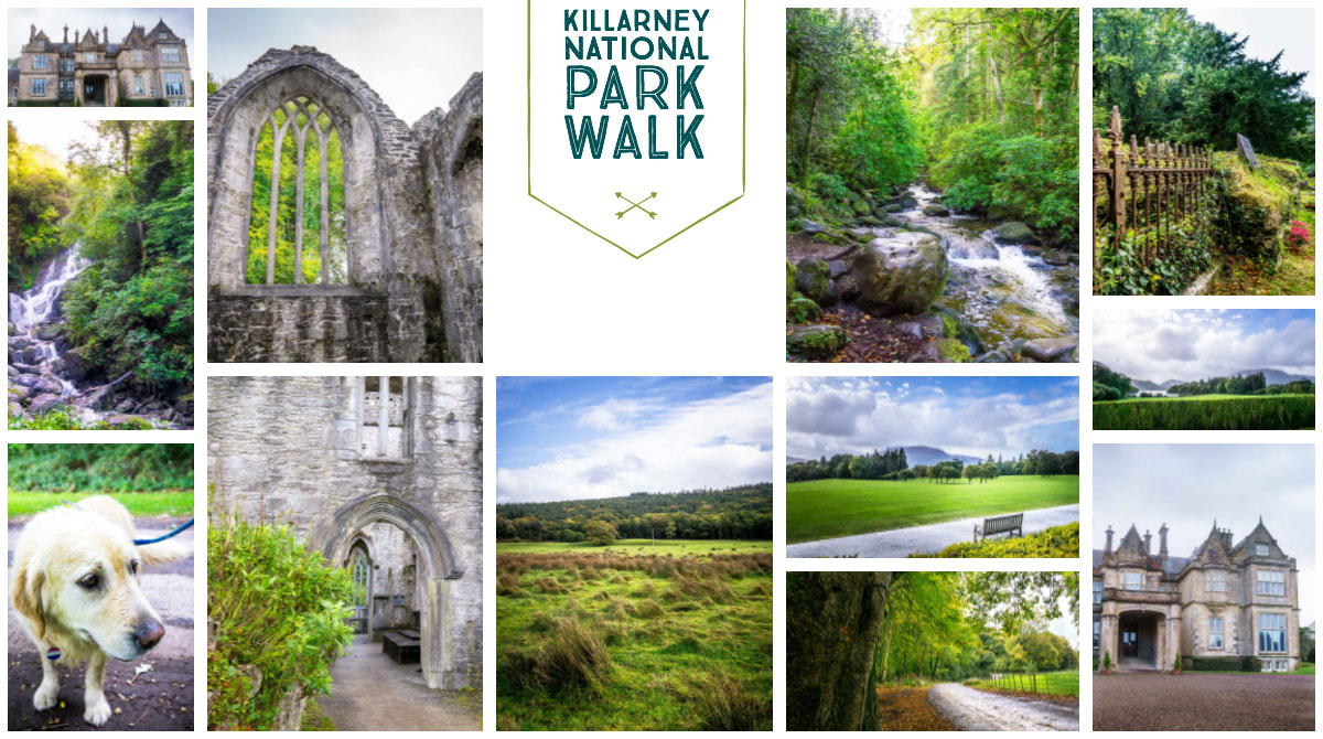 Hiking In Ireland Killarney National Park Walk Major Hoff Takes A Wife