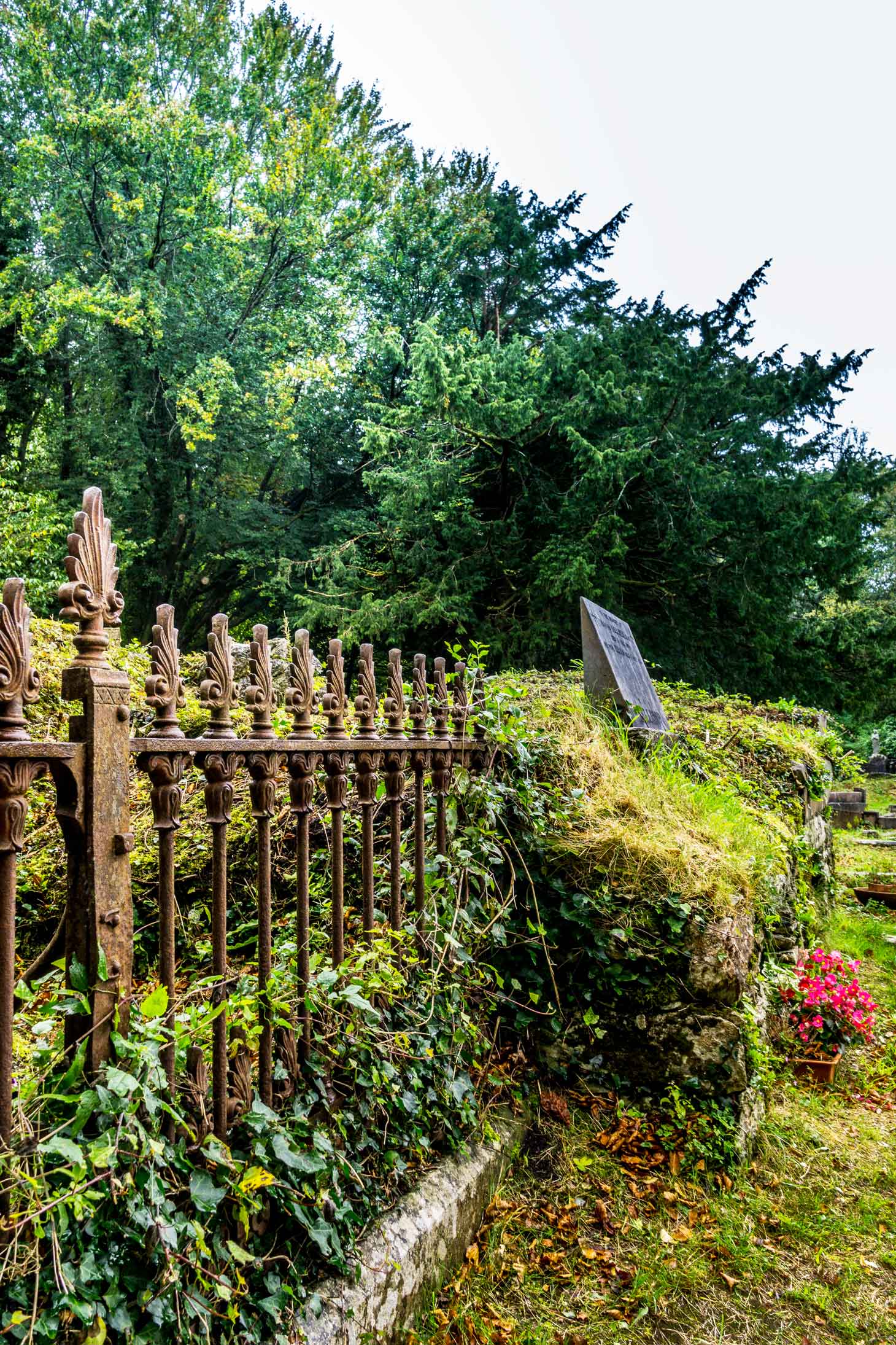 Muckross Abbey Cemetery