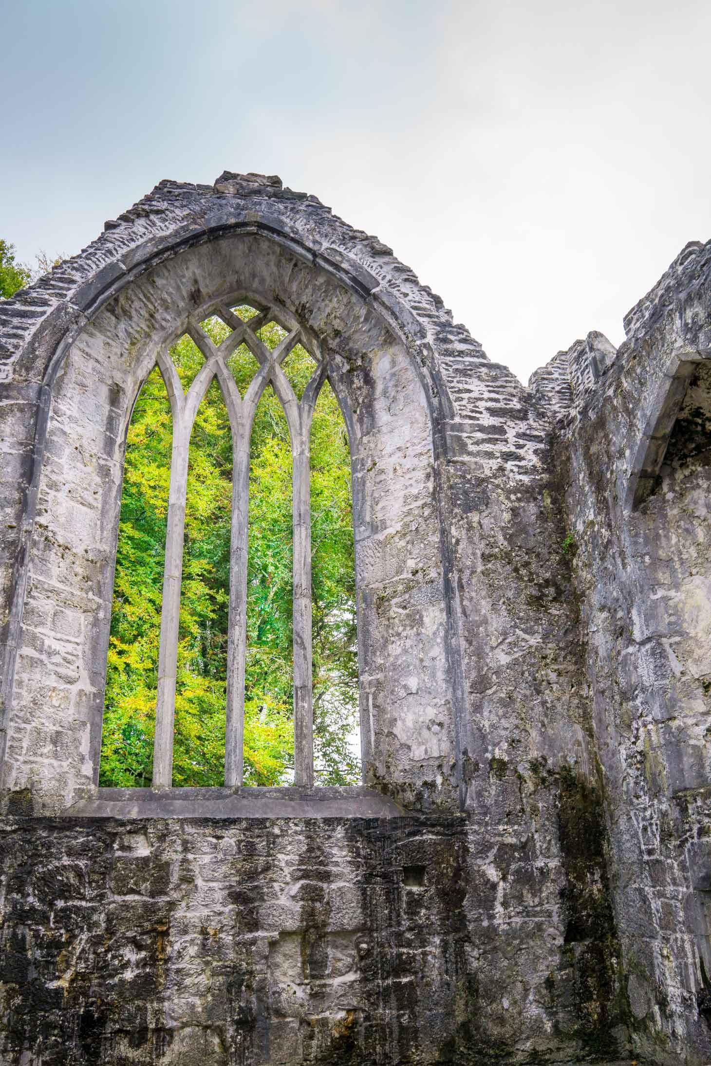 Muckross Abbey ruins are worth viewing. Don't miss the Yew tree inside!