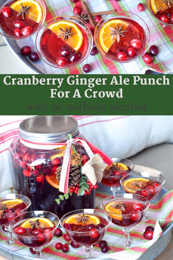 You’ll never believe how easy this simple cranberry ginger ale punch is to make for your Christmas parties. Prepared in under 5 minutes with little prep work, serve as a non alcoholic punch or serve spiked with vodka or rum. One of our families favorite recipes, your holiday drinks will look stunning with orange slices, fresh cranberries and ginger ale sparkling in an elegant glass on Thanksgiving or Christmas! #Christmas #Holidaydrinks #ChristmasDrinks #MHTAW #cranberry #punch via @mrsmajorhoff