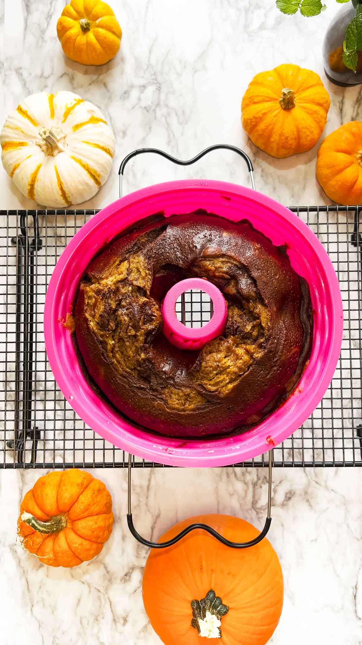 cake in pink pan resting on wire rack next to mini pumpkins.