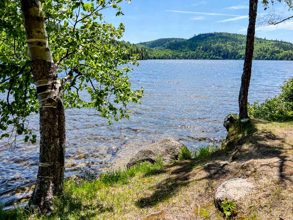 A photo of a side shoot of the St Lawrence river in the Charlevoix area. Two trees, the water and hills in the distance
