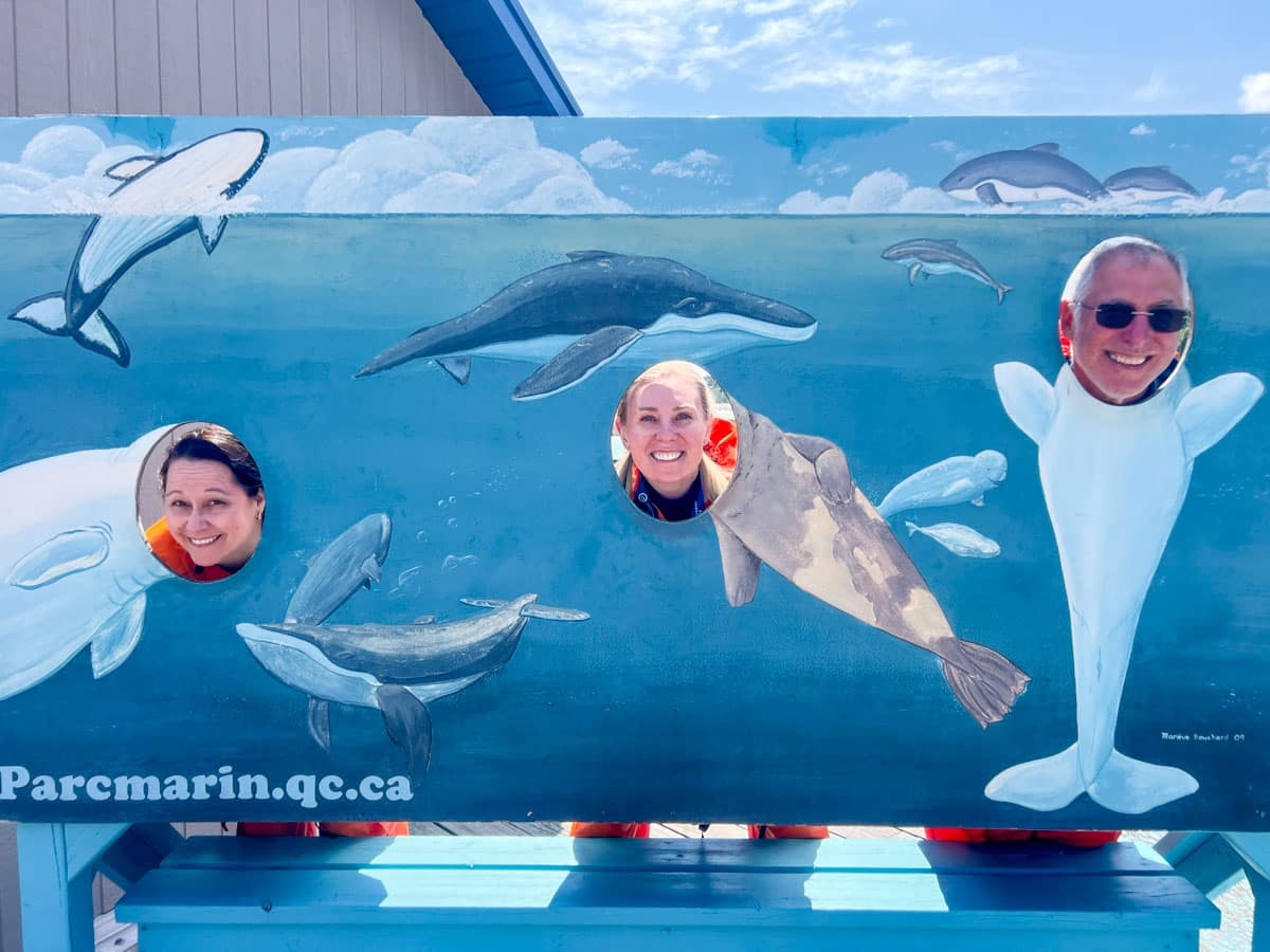 A painted wall that has images of whales, that allows a person to put their head in to be part of it.