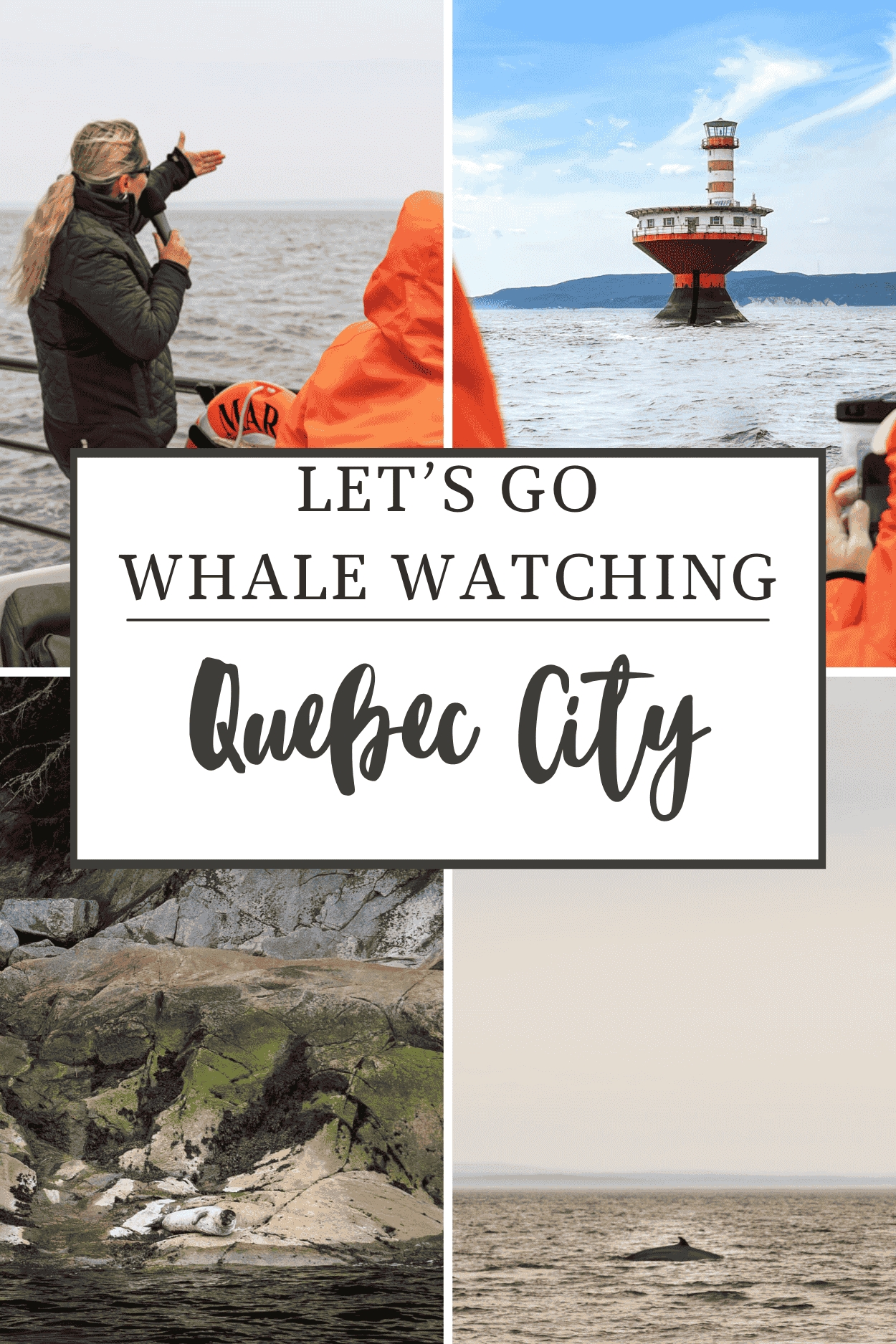 a pinterest pin that says lets go whale watching: Quebec City. Features four photos of a tour guide, a lighthouse, a seal and a minke whale