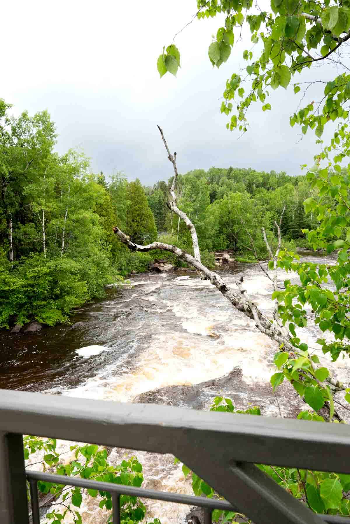 Waterfalls appear in several places around Zoo Sauvage de Saint-Félicien